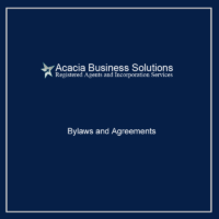 Bylaws and Agreements