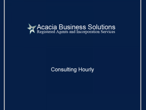 Consulting Hourly