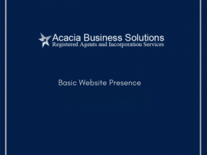 Basic Website Presence